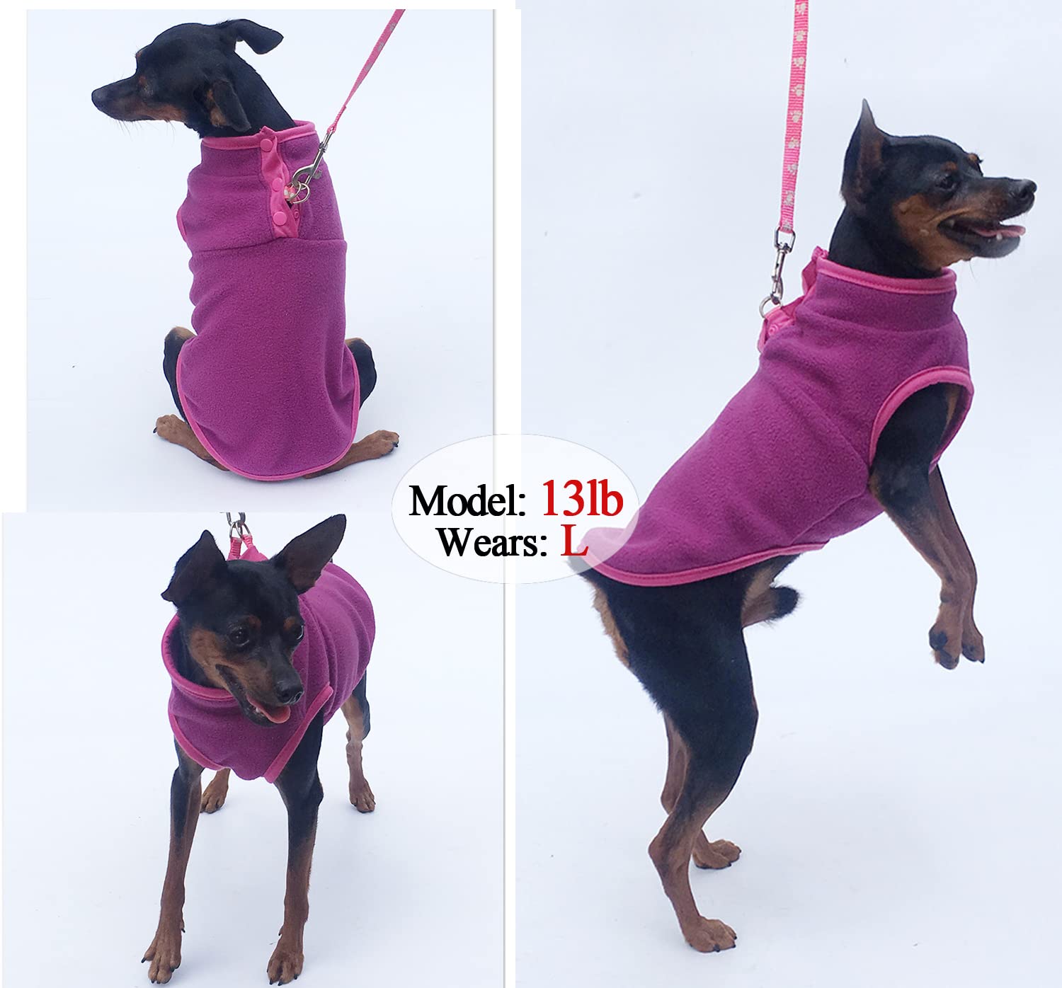 2 Pack Dog Fleece Vest Sweater, Warm Pullover Fleece Puppy Jacket, Autumn Winter Cold Weather Coat Clothes, Pet Stretch Fleece Apparel With Buttons Costumes For Small Medium Dogs Cats (X-Small)